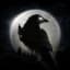 Night Crows logo
